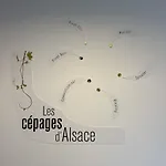 بيت للعطل Maison Des 5 Cepages - Chez Vigneron - Jardin Terrasse Et Parking