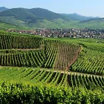 بيت للعطل Maison Des 5 Cepages - Chez Vigneron - Jardin Terrasse Et Parking