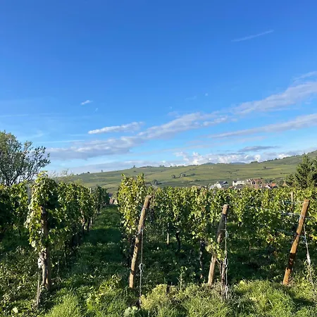 Maison Des 5 Cepages - Chez Vigneron - Jardin Terrasse Et Parking *