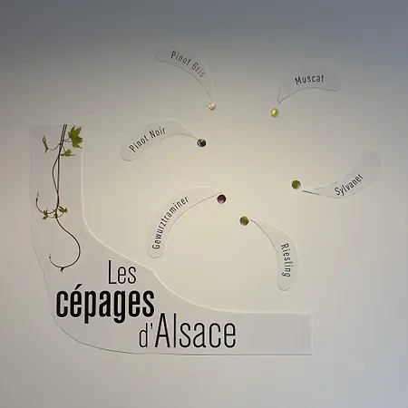 Dom wakacyjny Maison Des 5 Cepages - Chez Vigneron - Jardin Terrasse Et Parking