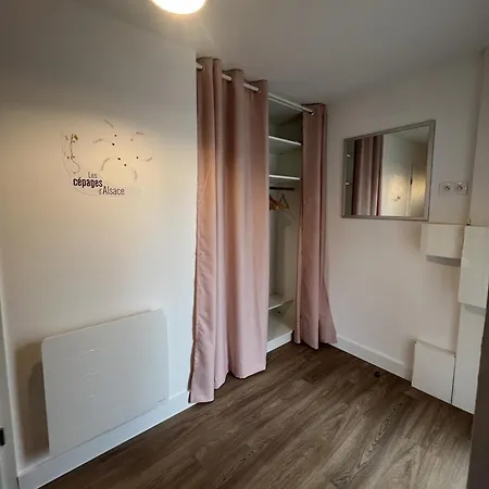 Maison Des 5 Cepages - Chez Vigneron - Jardin Terrasse Et Parking Feriehus *