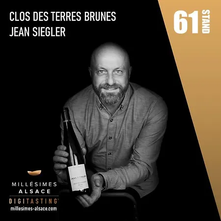 Feriehus Maison Des 5 Cepages - Chez Vigneron - Jardin Terrasse Et Parking Mittelwihr