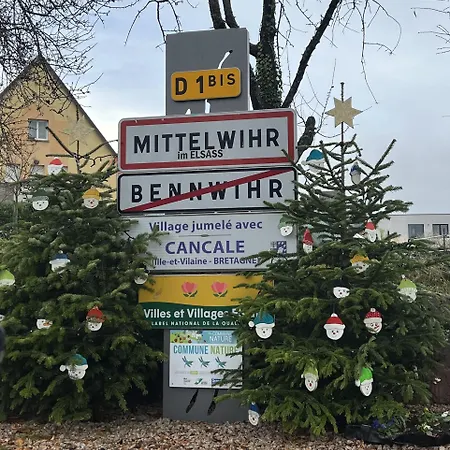 Maison Des 5 Cepages - Chez Vigneron - Jardin Terrasse Et Parking * Mittelwihr