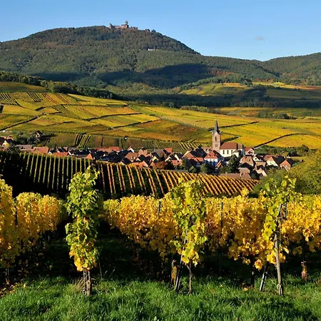 Maison Des 5 Cepages - Chez Vigneron - Jardin Terrasse Et Parking Feriehus *