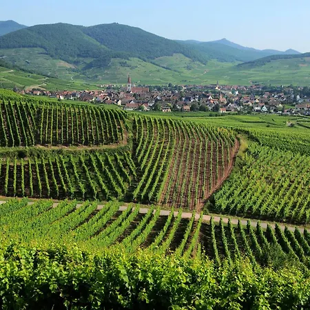 Feriehus Maison Des 5 Cepages - Chez Vigneron - Jardin Terrasse Et Parking