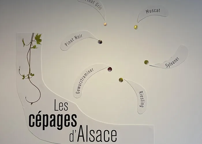 Semesterbostad Maison Des 5 Cepages - Chez Vigneron - Jardin Terrasse Et Parking