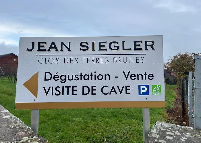 Semesterbostad Maison Des 5 Cepages - Chez Vigneron - Jardin Terrasse Et Parking