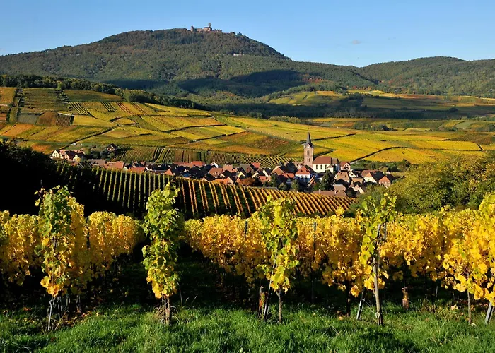 Maison Des 5 Cepages - Chez Vigneron - Jardin Terrasse Et Parking Semesterbostad *